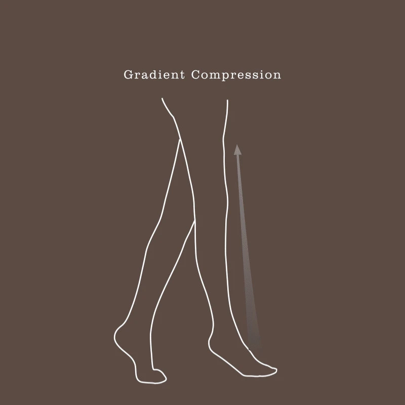 compress socks Blood vessel