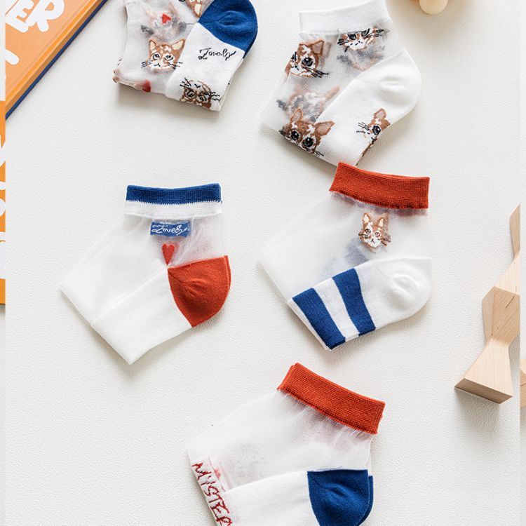 Latest Desirable Socks Transparent