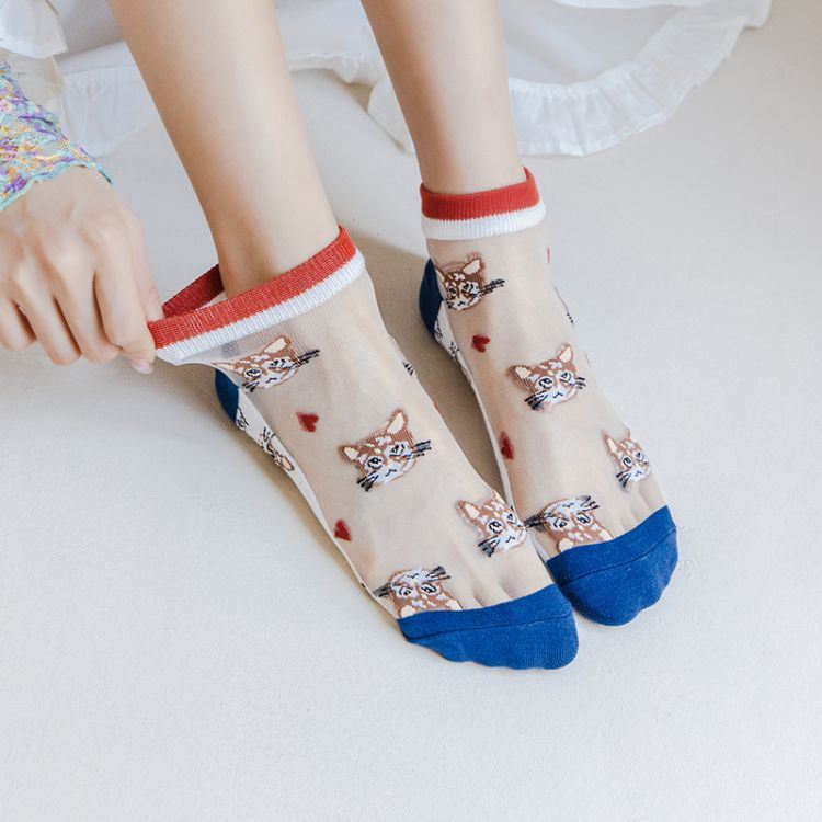 Latest Socks Women Transparent