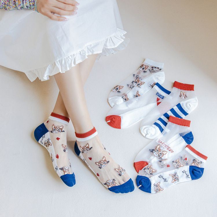 Latest Desirable Socks Women