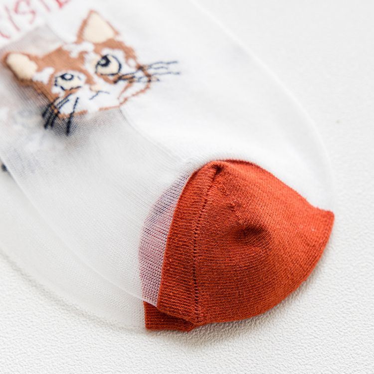 Latest Desirable Socks Women Transparent