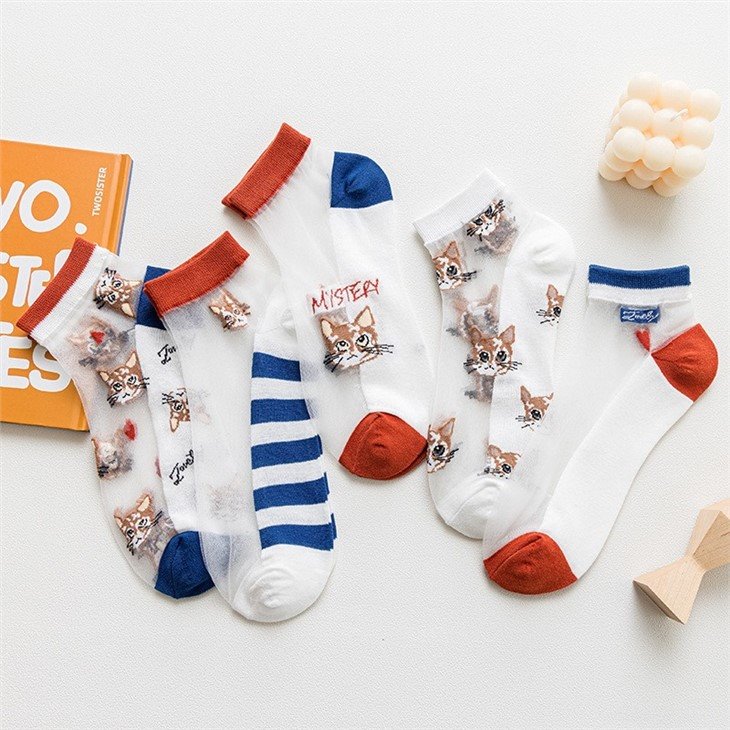 Bulk Latest Desirable Socks Women Transparent