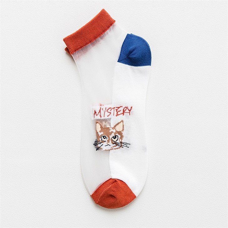 Latest Desirable Socks Women Transparent in stock