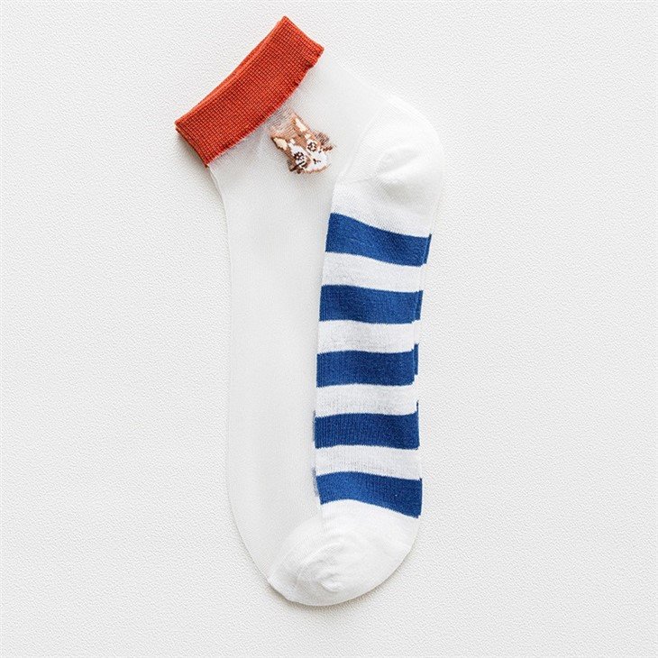 Latest Desirable Socks Women Transparent quotation
