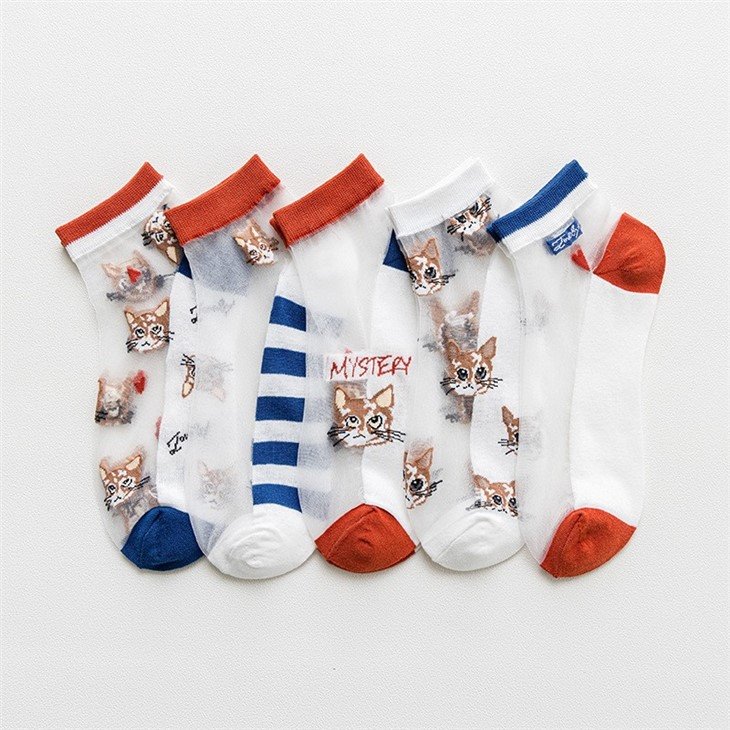 Latest Desirable Socks Women Transparent