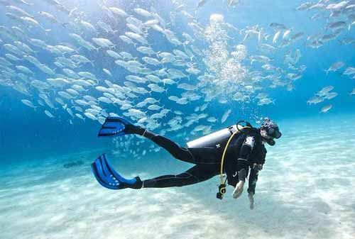 Why You Should Wear Diving Socks