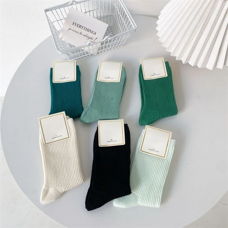 Solid Reputation Fashion Socks Women 2022 factory